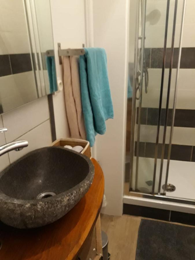 Le Langevin - Appartement Troyes Centre Bagian luar foto